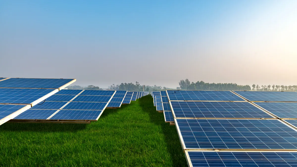 NTPC Awards 1.58 GW DCR Solar Modules Contract to Emmvee, Vikram Solar and ReNew